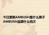 今日更新AMBUSH是什么牌子 AMBUSH品牌什么檔次
