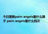 今日更新palm angels是什么牌子 palm angels是什么檔次