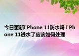 今日更新I Phone 11防水嗎 I Phone 11進(jìn)水了應(yīng)該如何處理