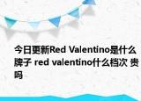 今日更新Red Valentino是什么牌子 red valentino什么檔次 貴嗎