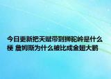 今日更新把天賦帶到獅駝嶺是什么梗 詹姆斯為什么被比成金翅大鵬