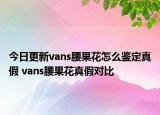 今日更新vans腰果花怎么鑒定真假 vans腰果花真假對比