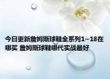 今日更新詹姆斯球鞋全系列1~18在哪買 詹姆斯球鞋哪代實戰(zhàn)最好