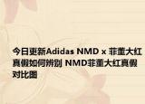 今日更新Adidas NMD x 菲董大紅真假如何辨別 NMD菲董大紅真假對(duì)比圖
