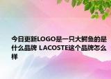 今日更新LOGO是一只大鱷魚的是什么品牌 LACOSTE這個(gè)品牌怎么樣