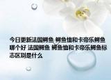 今日更新法國鱷魚 鱷魚恤和卡帝樂鱷魚哪個好 法國鱷魚 鱷魚恤和卡帝樂鱷魚標志區(qū)別是什么