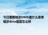 今日更新銳步DMX是什么意思 銳步dmx緩震怎么樣