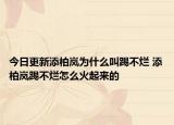 今日更新添柏嵐為什么叫踢不爛 添柏嵐踢不爛怎么火起來的