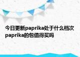 今日更新paprika處于什么檔次 paprika的包值得買嗎