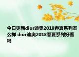 今日更新dior迪奧2018春夏系列怎么樣 dior迪奧2018春夏系列好看嗎