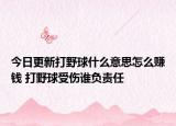 今日更新打野球什么意思怎么賺錢 打野球受傷誰負責任