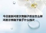 今日更新鴻星爾克鞋子質量怎么樣鴻星爾克鞋子屬于什么檔次