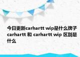 今日更新carhartt wip是什么牌子 carhartt 和 carhartt wip 區(qū)別是什么