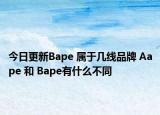 今日更新Bape 屬于幾線品牌 Aape 和 Bape有什么不同