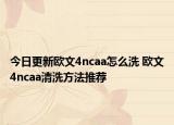 今日更新歐文4ncaa怎么洗 歐文4ncaa清洗方法推薦