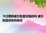 今日更新威爾勝是安踏的嗎 威爾勝籃球真?zhèn)悟?yàn)證