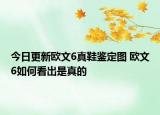 今日更新歐文6真鞋鑒定圖 歐文6如何看出是真的