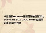 今日更新supreme腰果花短袖真假對比,SUPREME BOX LOGO FW19 白腰果花鑒定技巧分享!