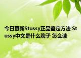 今日更新Stussy正品鑒定方法 Stussy中文是什么牌子 怎么讀