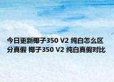 今日更新椰子350 V2 純白怎么區(qū)分真假 椰子350 V2 純白真假對比