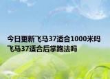 今日更新飛馬37適合1000米嗎 飛馬37適合后掌跑法嗎