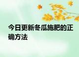 今日更新冬瓜施肥的正確方法