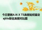 今日更新AJ6 X TS真假如何鑒定 aj6ts聯(lián)名真假對比圖