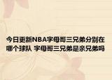 今日更新NBA字母哥三兄弟分別在哪個球隊 字母哥三兄弟是親兄弟嗎