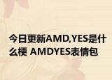 今日更新AMD,YES是什么梗 AMDYES表情包