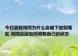 今日更新周琦為什么會(huì)被下放到毒蛇 周琦應(yīng)該如何調(diào)整自己的狀態(tài)