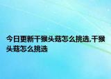 今日更新干猴頭菇怎么挑選,干猴頭菇怎么挑選