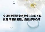 今日更新斯坦史密斯小白鞋是不是真皮 斯坦史密斯小白鞋腳感如何