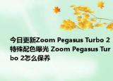 今日更新Zoom Pegasus Turbo 2特殊配色曝光 Zoom Pegasus Turbo 2怎么保養(yǎng)