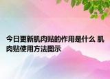 今日更新肌肉貼的作用是什么 肌肉貼使用方法圖示