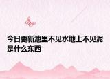 今日更新池里不見水地上不見泥是什么東西