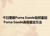 今日更新Puma Suede如何鑒別 Puma Suede真假鑒定方法