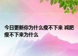 今日更新你為什么瘦不下來 減肥瘦不下來為什么