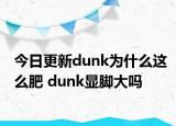 今日更新dunk為什么這么肥 dunk顯腳大嗎
