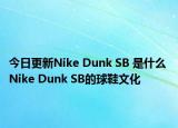 今日更新Nike Dunk SB 是什么 Nike Dunk SB的球鞋文化