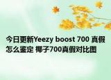 今日更新Yeezy boost 700 真假怎么鑒定 椰子700真假對比圖