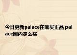 今日更新palace在哪買正品 palace國(guó)內(nèi)怎么買