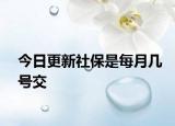 今日更新社保是每月幾號交