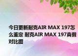 今日更新耐克AIR MAX 197怎么鑒定 耐克AIR MAX 197真假對(duì)比圖