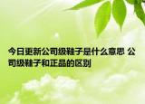 今日更新公司級鞋子是什么意思 公司級鞋子和正品的區(qū)別