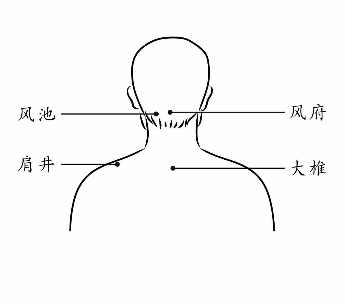 排毒養(yǎng)肝，養(yǎng)生第十一條經(jīng)脈：足少陽膽經(jīng)