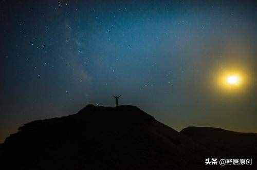 原創(chuàng)隨筆散文《昨夜那一刻，我曾沉淪過》