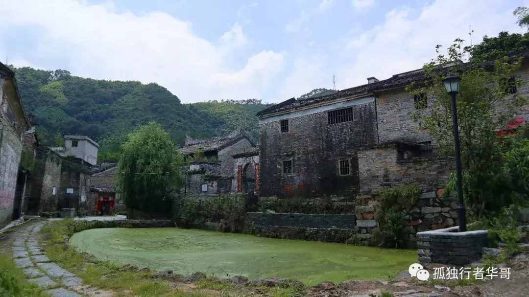 游記“嶺南第一村“楊池古村