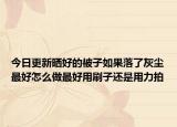 今日更新曬好的被子如果落了灰塵最好怎么做最好用刷子還是用力拍