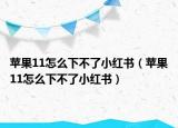 蘋果11怎么下不了小紅書（蘋果11怎么下不了小紅書）