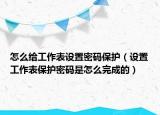 怎么給工作表設置密碼保護（設置工作表保護密碼是怎么完成的）